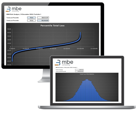 Screenshot of MBE's Risk Analyser for IFRS 17 implementation